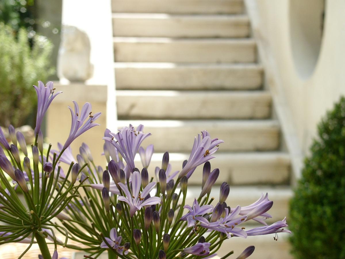 Primaluce Bed and Breakfast Βενετία Εξωτερικό φωτογραφία